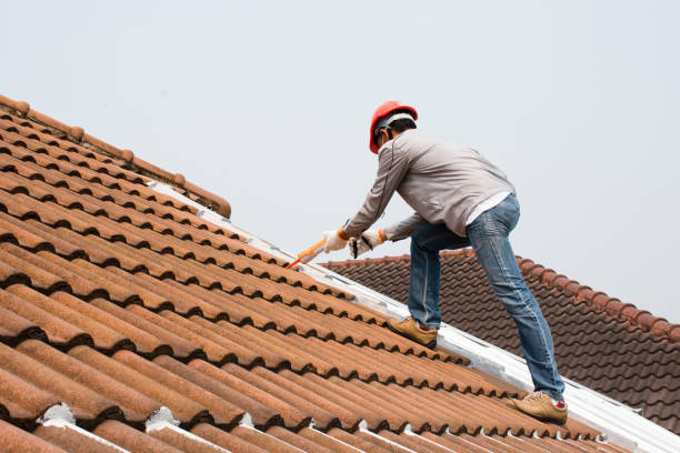 Best Roof Waterproofing  in Nephi, UT