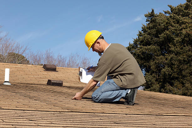 Best Roof Moss and Algae Removal  in Nephi, UT